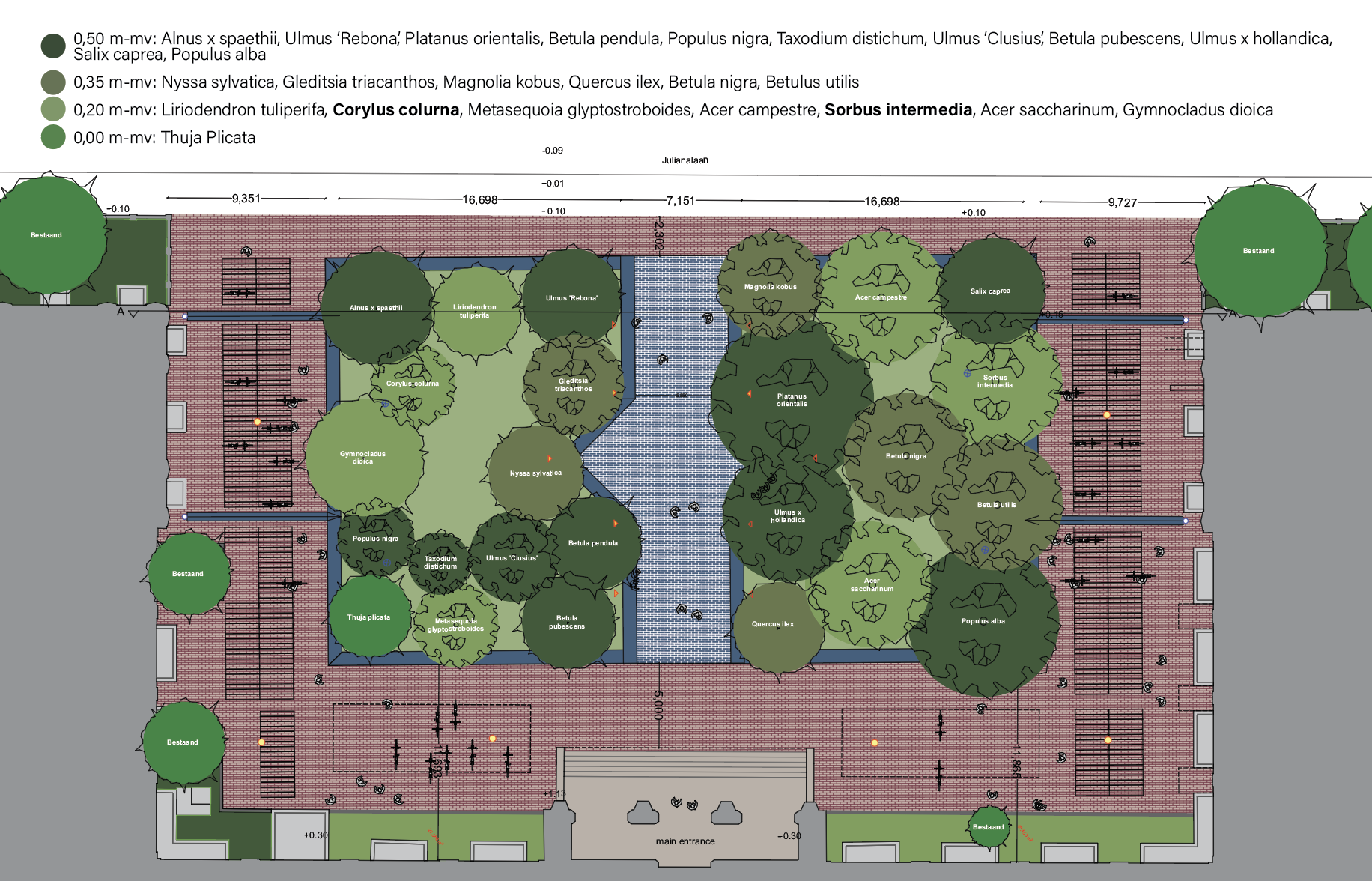 Urban Climate Grove design plan species and elevation